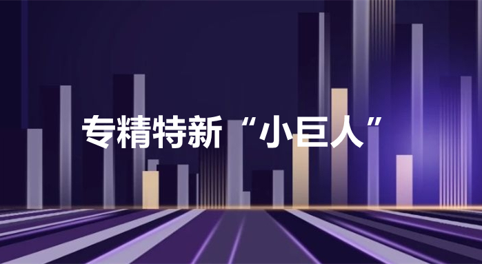 凯时ag·(中国)人生就是博官网